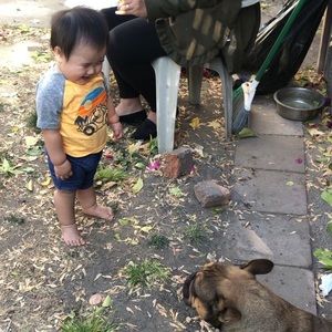 Meet your Posher, Bobby